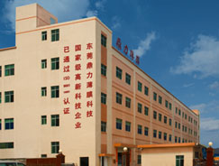 東莞市鼎力薄膜科技有限公司簡(jiǎn)介